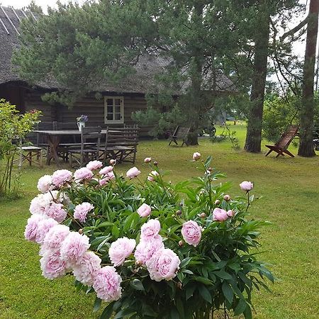 Männi Summerhouse Kassari Exterior foto